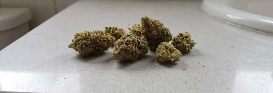 Gros plan sur des fleurs de CBD de qualité supérieure disposées sur une table en bois clair, avec des trichomes cristallins visibles à la surface